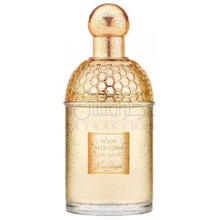  اکوا الیگوریا تیاره میموسا